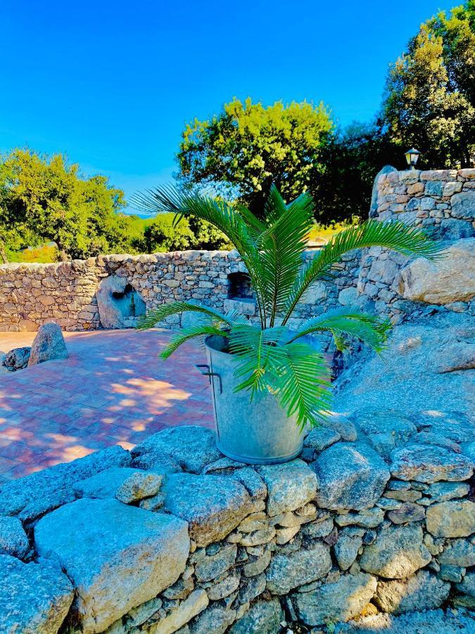 Apartment De Luxe 4 Etoiles A Pietralba, 4 Piscine Chauffee Balagne Pietralba