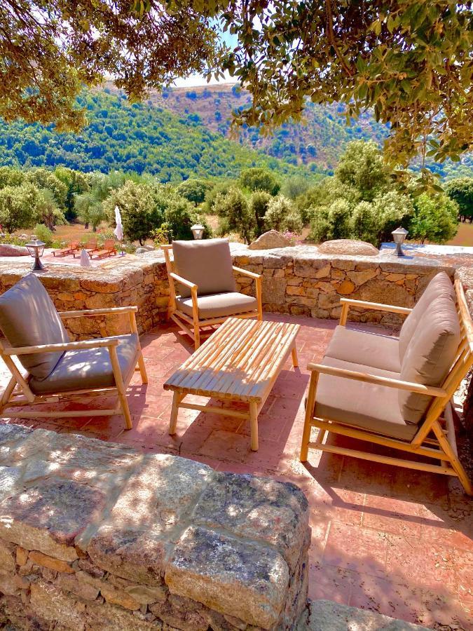 De Luxe 4 Etoiles A Pietralba, 4 Piscine Chauffee Balagne *