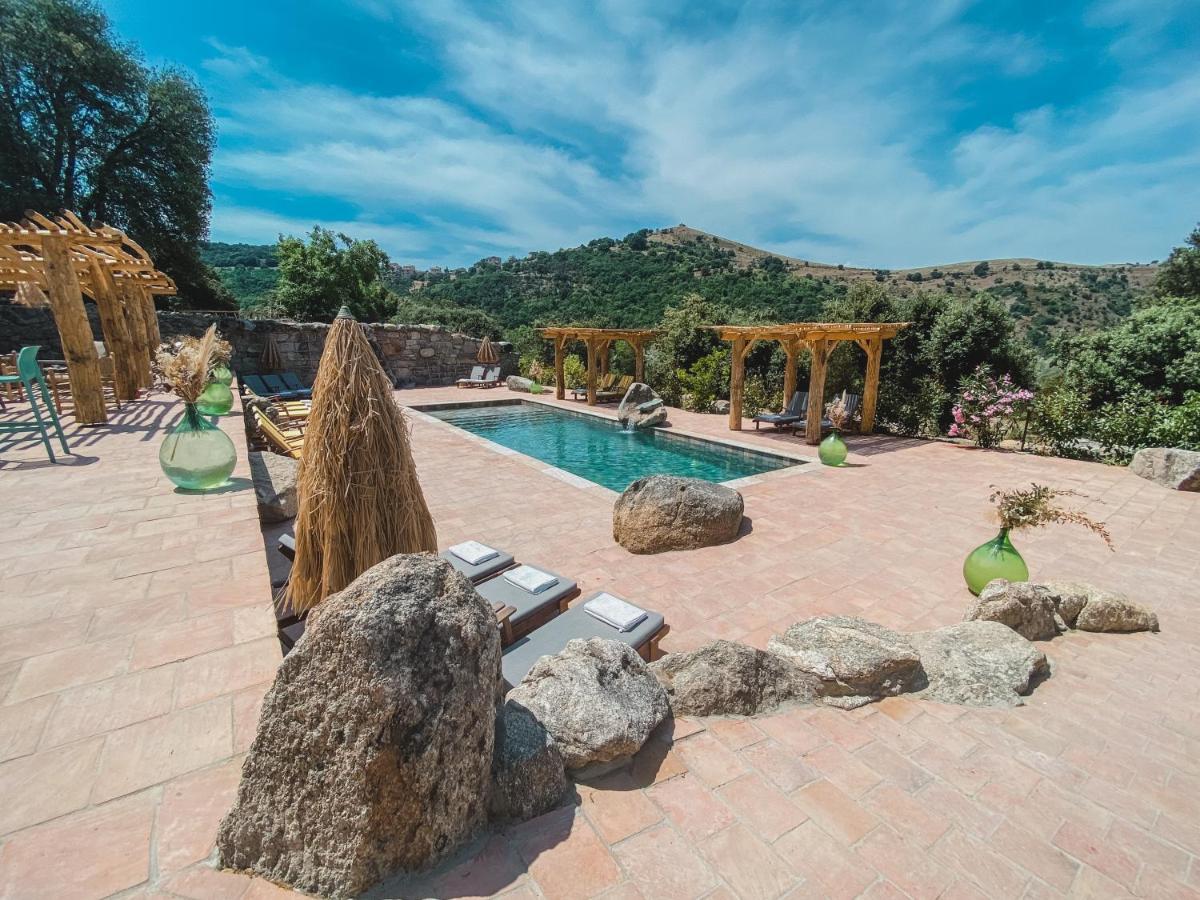De Luxe 4 Etoiles A Pietralba, 4 Piscine Chauffee Balagne * Pietralba