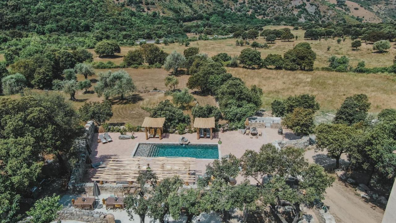 De Luxe 4 Etoiles A Pietralba, 4 Piscine Chauffee Balagne Apartment