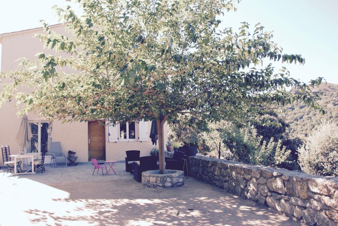 De Luxe 4 Etoiles A Pietralba, 4 Piscine Chauffee Balagne * Pietralba
